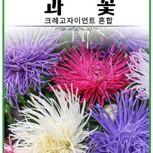과꽃 크레고자이언트 혼합 20립 봄파종꽃씨 가뭄에강한 아파트화단 정원