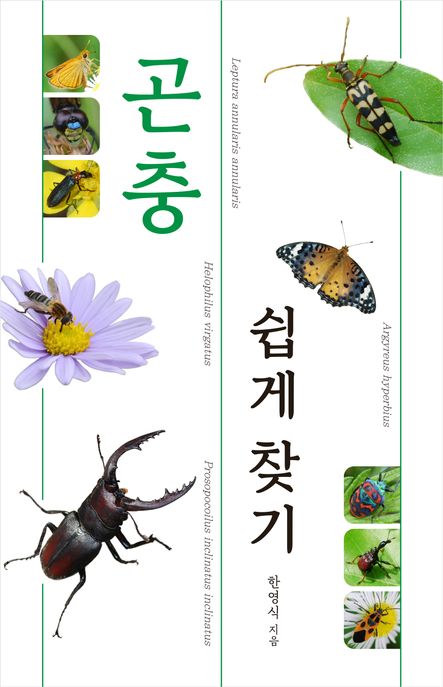 곤충 쉽게 찾기 표지