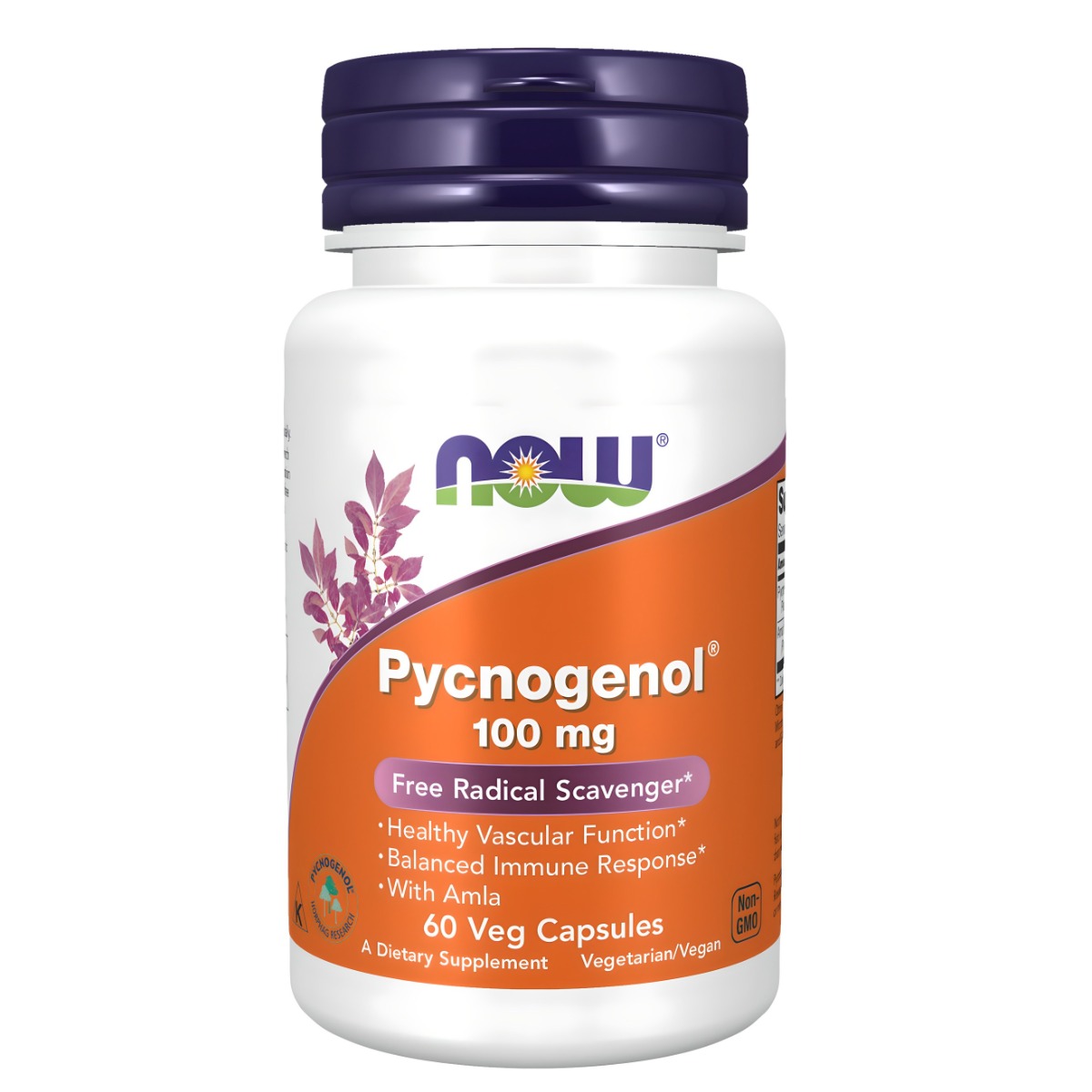 <b>나우푸드 피크노제놀</b> 100mg 베지 캡슐  60정  1개