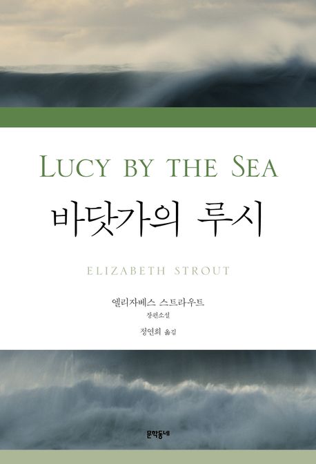 바닷가의 루시 (루시 바턴 시리즈) 표지