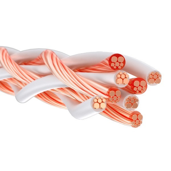 Kimber Kable 4TC Speaker Cable (킴버 케이블 4TC 스피커 케이블)