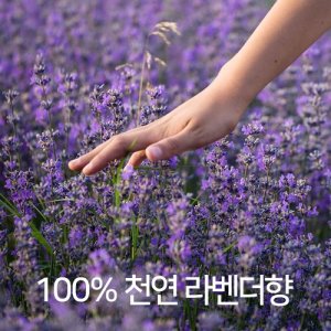 이솝 휠 type 실내 디퓨저 120ml 고급 선물세트 방향제 숲속향