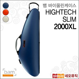 BAM 뱀 bam 팬더 하이테크 콘듀어드 바이올린케이스