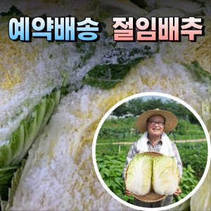 강원도절임배추20kg 최저가 가성비상품