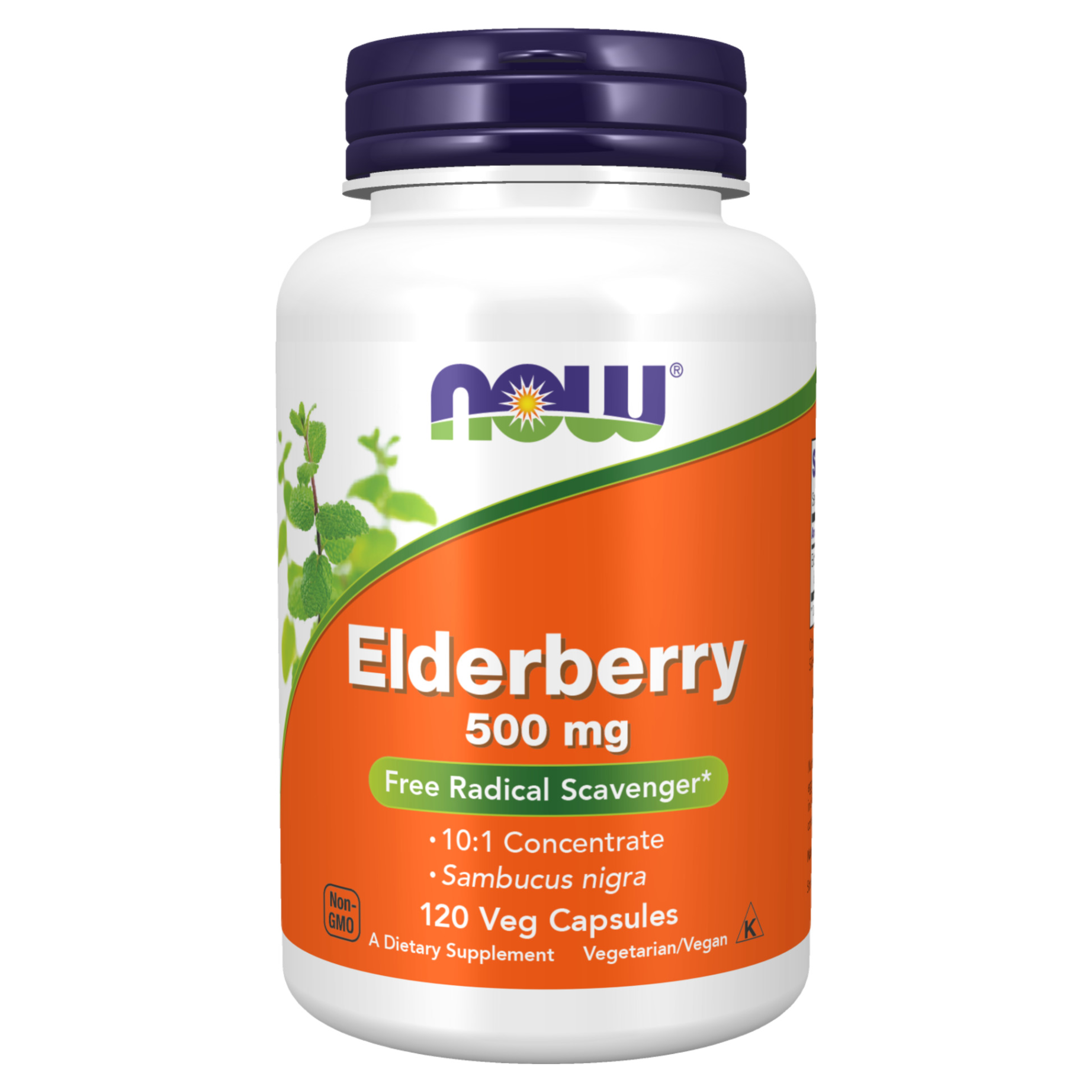 나우푸드 <b>엘더베리 500mg</b> 베지 캡슐  120정  1개