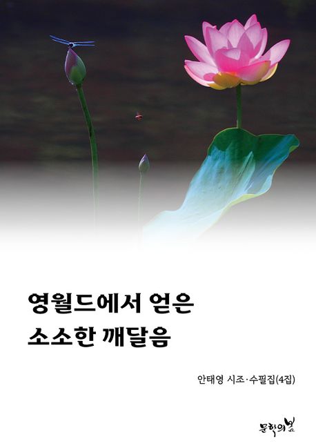 영월드에서얻은소소한깨달음:안태영시조·수필집(4집)
