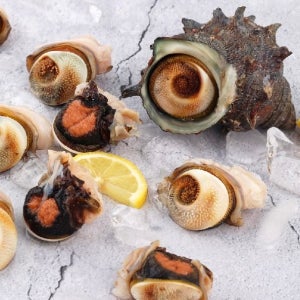 바다의 달큼함이 퍼지는 거제도 자연산 뿔소라 (껍질 손질) 1kg