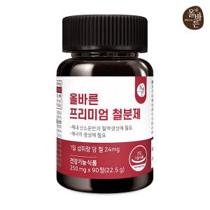 Solgar 솔가 Gentle Iron 철분제 90정