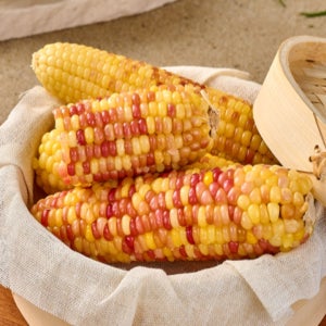 [특대/왕특] 쪄서가는 프리미엄 특대 홍찰옥수수 10~20개입