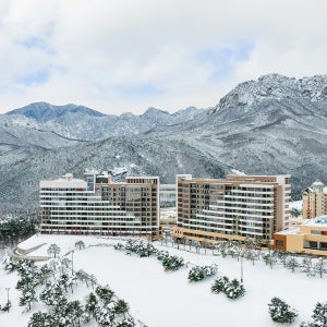 소노펠리체 델피노 설악 소노호텔앤리조트_골드(취사/파노라마뷰/침대)