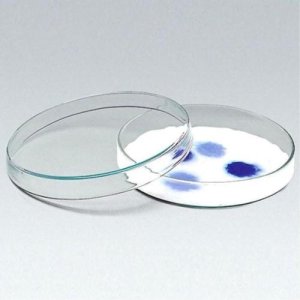 조안랩 유리 페트리 디쉬(60mm) 박스판매 샤알레 Glass Petri Dish