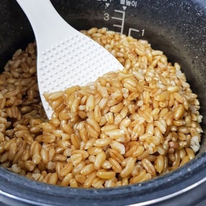 뉴욕타임지 선정! 호라산밀 카무트 식이요법 1+1