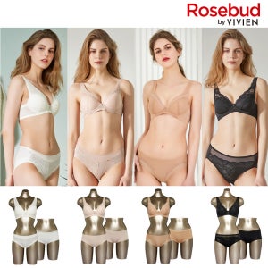비비안 비비안 로즈버드 에어풀커버 보정 브라팬티세트 12종