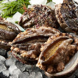 우체국쇼핑 갯마을 완도 대활전복 1kg(10-11미)
