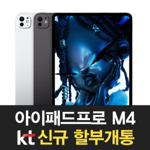 아이패드프로11m4 최저가 가성비상품