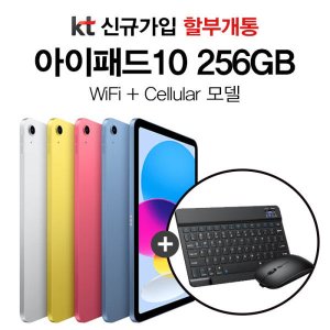 Apple 아이패드 10세대 WIFI 256G 블루 - 올데이