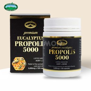 propolis5000 최저가 가성비상품