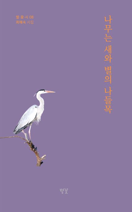 나무는새와별의나들목:최예숙시집