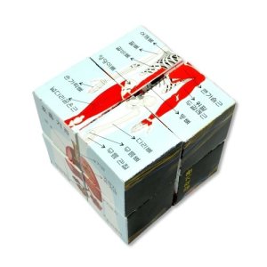 인체 큐브퍼즐 5명 set