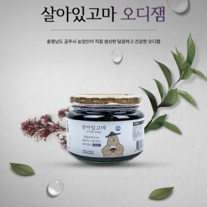 오디잼 최저가 가성비상품