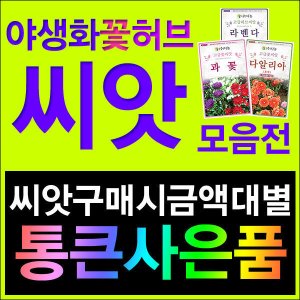 잔디씨앗 최저가 가성비상품