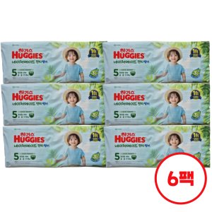 하기스 하기스 2024 네이처메이드 썸머 팬티 5단계 (공용) 40매 6팩