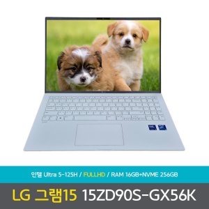 15zd90s-gx56k 최저가 가성비상품