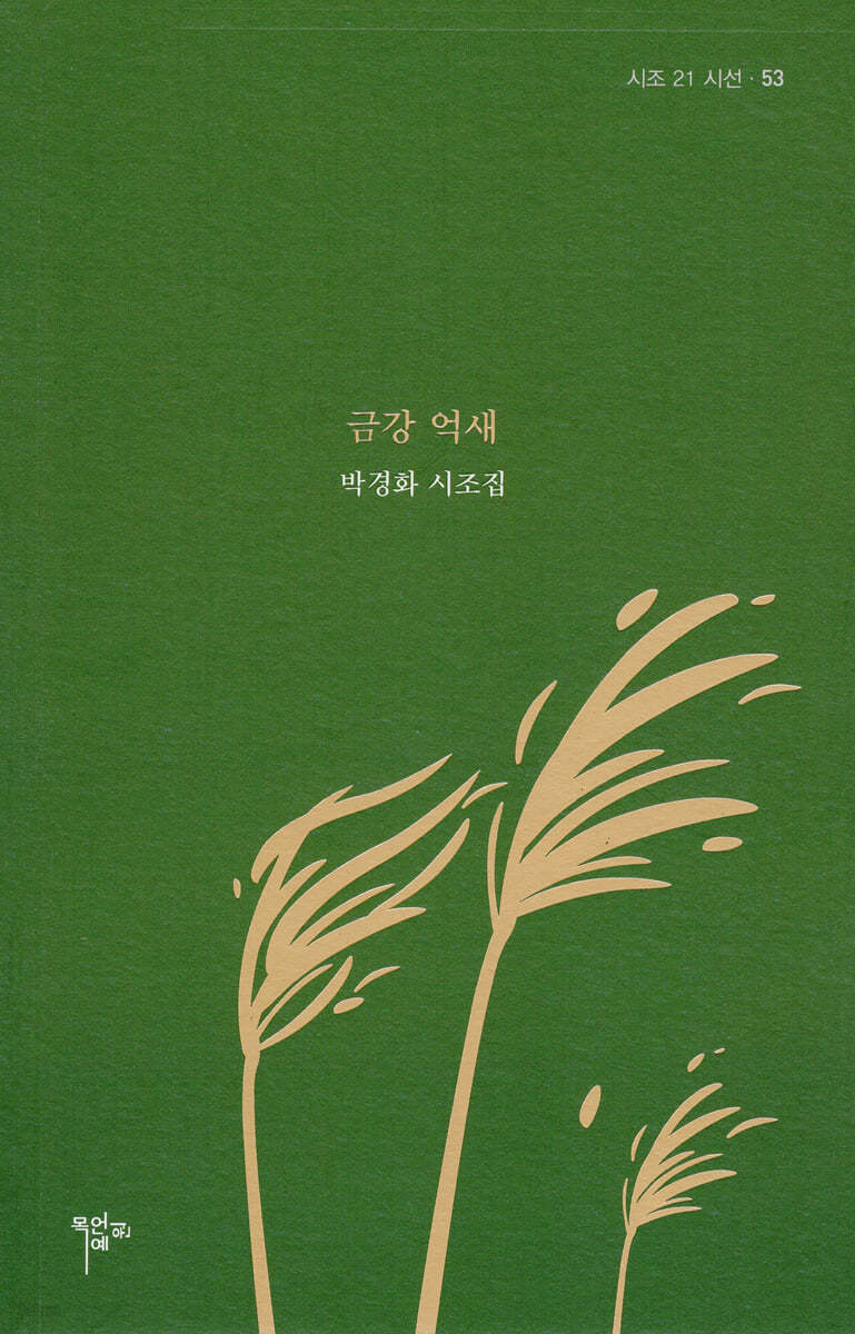 금강억새