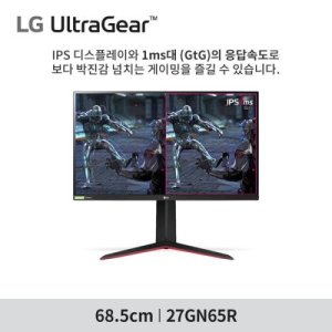 lg27gn65r 최저가 가성비상품