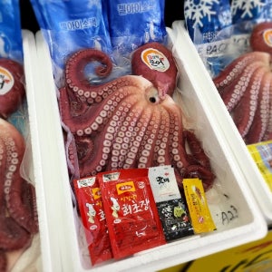 동해바다의 힘 좋은 대왕 피문어 1.5kg 선물 세트 (3~4인분)