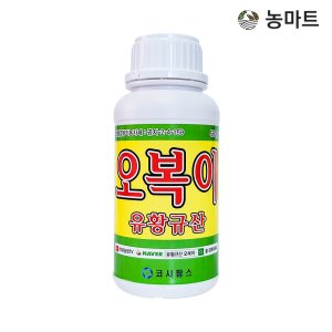 규산황 최저가 가성비상품