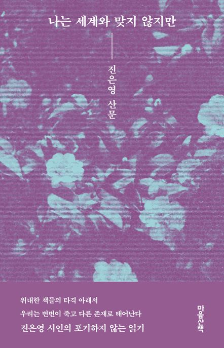 나는 세계와 맞지 않지만 (진은영 산문) 표지