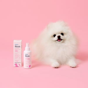 세스코 마이랩 모기·진드기 기피제 반려견용 120ml