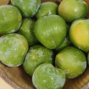 고당도 첼시자두 켈시 청자두 2kg 대과