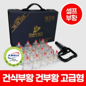 풀패키지 고급형 셀프 가정용 미니 세트 건부항 부앙 실리콘부항 건식부항 다이소부항 한방애