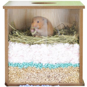 광고 메인 이미지