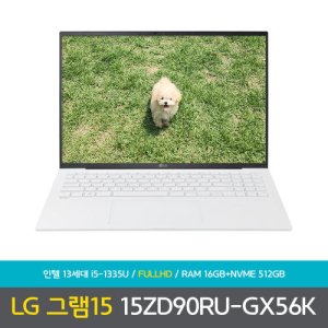 15zd90ru-gx56k 최저가 가성비상품