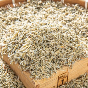 멸치가 좋아야 볶아도 맛있다!! 남해 햇 지리멸치