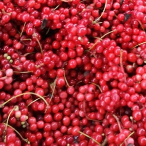 달콤 가득 오미자 당절임 6kg 1통