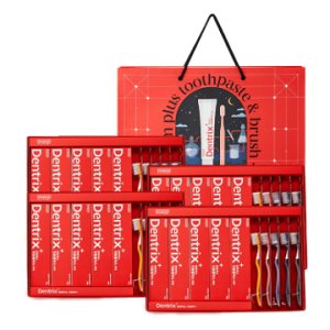동국제약 덴트릭스 덴트릭스 치약칫솔 선물세트(잇몸플러스치약 160g*5+잇몸칫솔*5) × 4박스