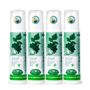 덴티스테 플러스화이트 펌프치약 170g 4개