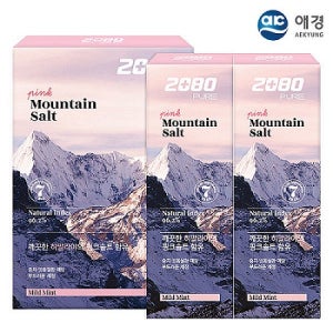 2080히말라야핑크솔트치약 100g 2P세트