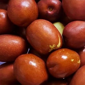 2025년 보은 생대추 2kg 손별초특상 (32-34mm)