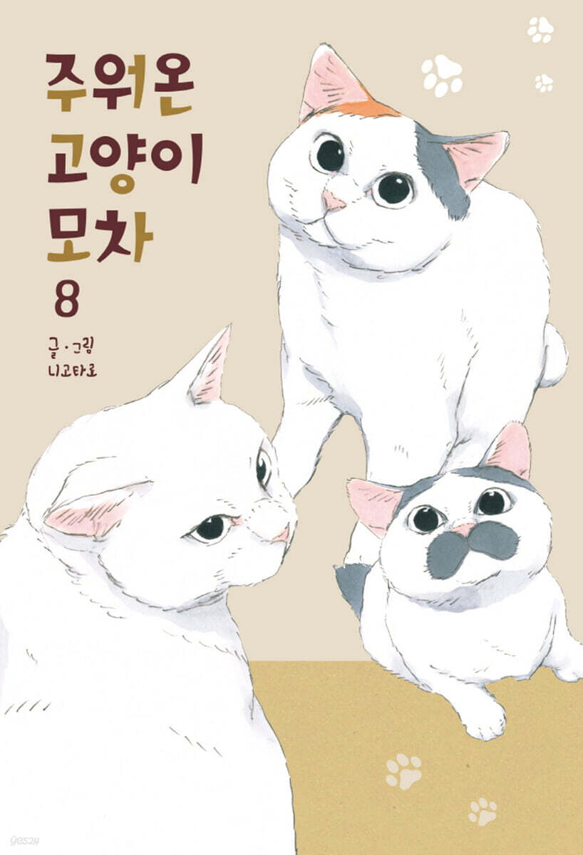 주워온 고양이 모차