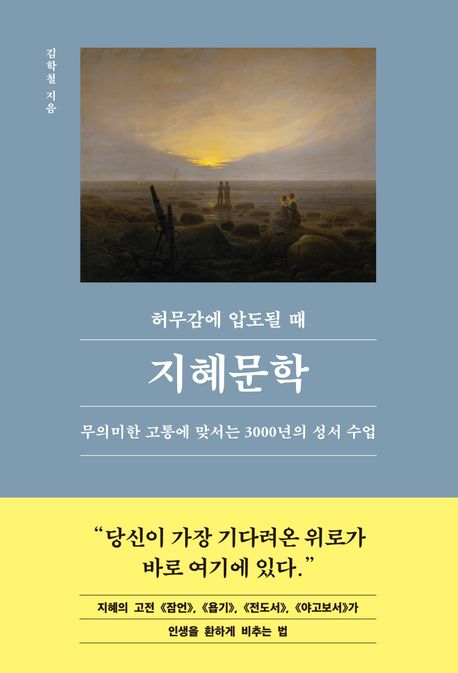 허무감에 압도될 때, 지혜문학 (무의미한 고통에 맞서는 3,000년의 성서 수업) 표지