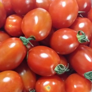 대추방울토마토 5kg 4번과 대용량 /총포장재 포함 약 5.1kg 으로 발송합니다