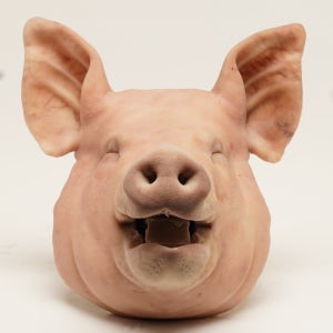 🥇 VJ특공대 방영 문사병 웃는 고사머리🐷 개업, 문사병편육