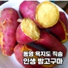 욕지도고구마