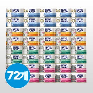 동원 뉴트리플랜 건강프로젝트 (4종 콤보)160g x 72개