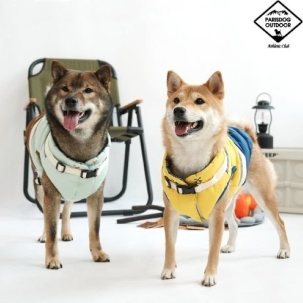 48아웃도어 하네스패딩 목줄 목줄브랜드 XBK060K0